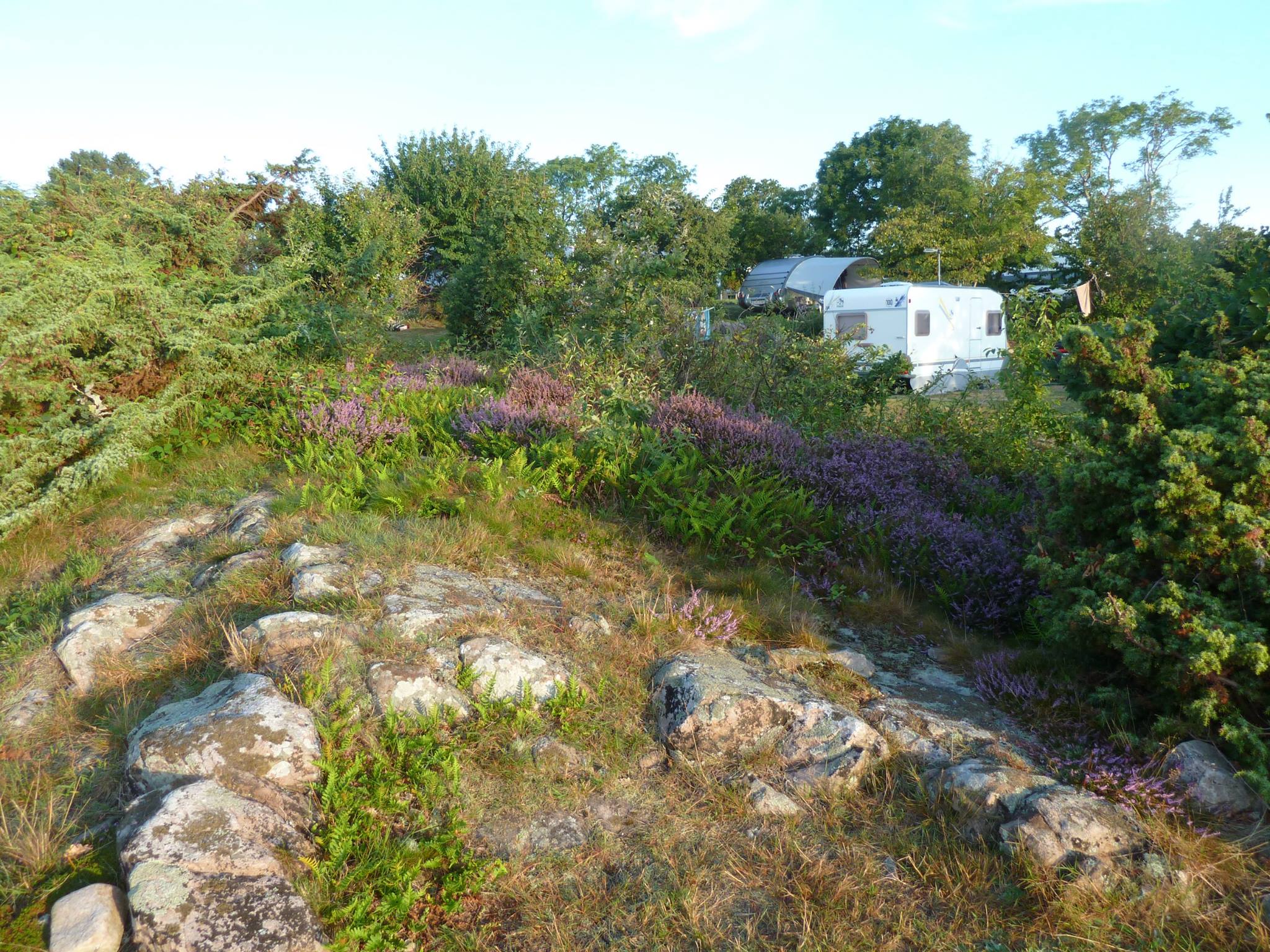 campingpladsen sannes familiecamping
