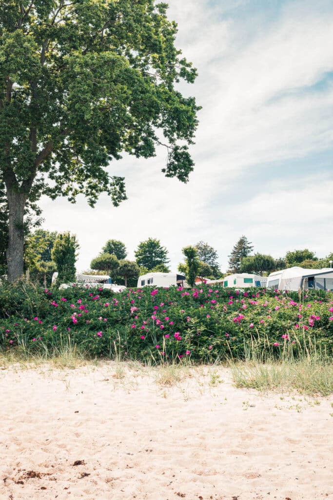 luxus ferienhaus dänemark direkt am strand