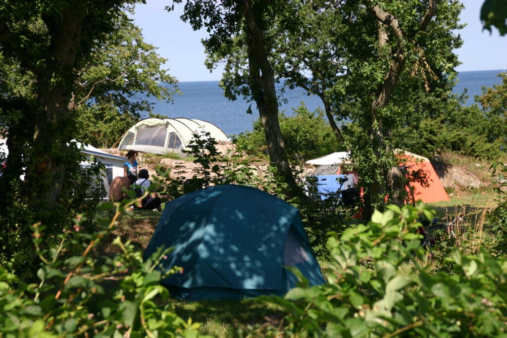 camping med telt Bornholm