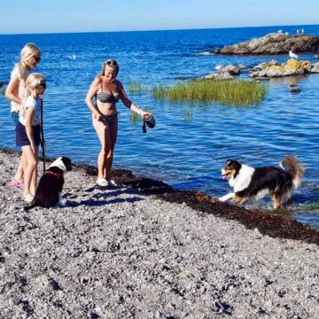 om sannes familiecamping